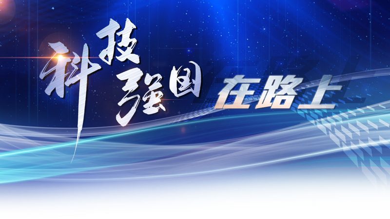 定制化AI应用开发：价格背后的价值考量**