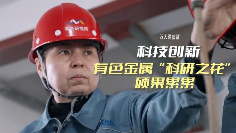 OA系统云端部署与本地部署：差异解析与选择考量**